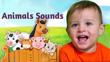 Animals Sounds